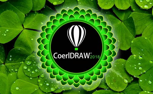 平面設(shè)計 從軟件工具到核心技能的全方位解析